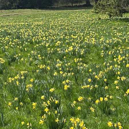 Biel-bruegg فندق مبيت وإفطار 3*