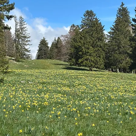 Bed & Breakfast Biel-bruegg 3*