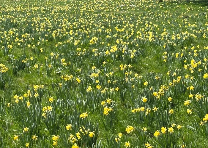 Biel-bruegg فندق مبيت وإفطار 3*