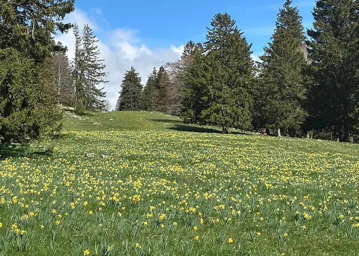 فندق مبيت وإفطار Biel-bruegg 3*